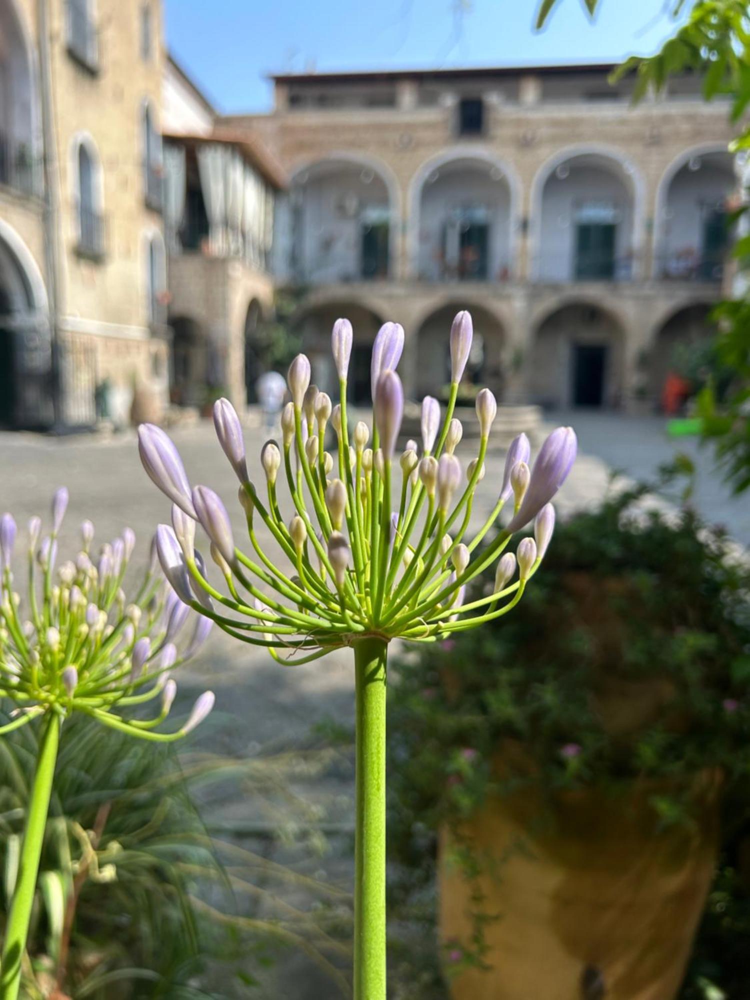 Palazzo Capece Apartment Caivano ภายนอก รูปภาพ